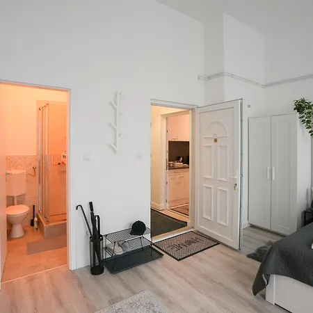 Beautiful Newly Refurbished Studio,fully Equipped Walking Distance To The Park Where Will Find The World Famous Szechenyi Thermal Bath Spa, Museums , And The Capital Circus , Ac, Smart Tv, High Speed Internet Βουδαπέστη