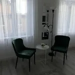 Apartamento Beautiful Newly Refurbished Studio,fully Equipped Walking Distance To The Park Where Will Find The World Famous Szechenyi Thermal Bath Spa, Museums , And The Capital Circus , Ac, Smart Tv, High Speed Internet Budapest