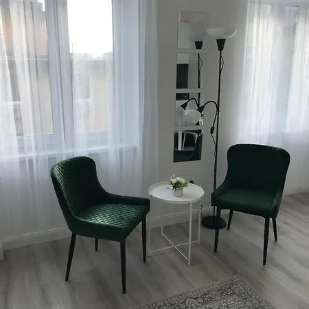Beautiful Newly Refurbished Studio,fully Equipped Walking Distance To The Park Where Will Find The World Famous Szechenyi Thermal Bath Spa, Museums , And The Capital Circus , Ac, Smart Tv, High Speed Internet Apartament Budapeszt