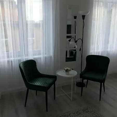 Apartament Beautiful Newly Refurbished Studio,fully Equipped Walking Distance To The Park Where Will Find The World Famous Szechenyi Thermal Bath Spa, Museums , And The Capital Circus , Ac, Smart Tv, High Speed Internet Budapeszt
