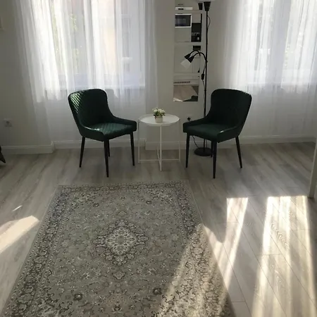 Beautiful Newly Refurbished Studio,fully Equipped Walking Distance To The Park Where Will Find The World Famous Szechenyi Thermal Bath Spa, Museums , And The Capital Circus , Ac, Smart Tv, High Speed Internet * Budapest