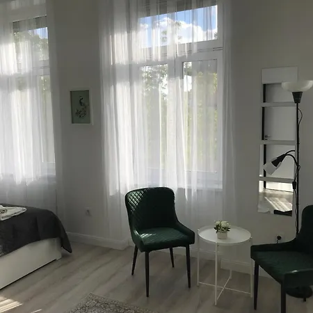 Beautiful Newly Refurbished Studio,fully Equipped Walking Distance To The Park Where Will Find The World Famous Szechenyi Thermal Bath Spa, Museums , And The Capital Circus , Ac, Smart Tv, High Speed Internet Budapeszt