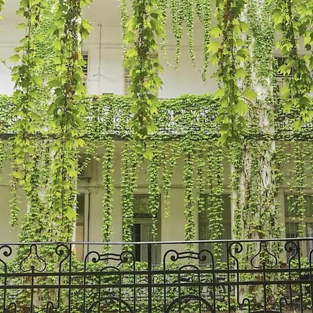 Beautiful Newly Refurbished Studio,fully Equipped Walking Distance To The Park Where Will Find The World Famous Szechenyi Thermal Bath Spa, Museums , And The Capital Circus , Ac, Smart Tv, High Speed Internet Apartament Budapeszt