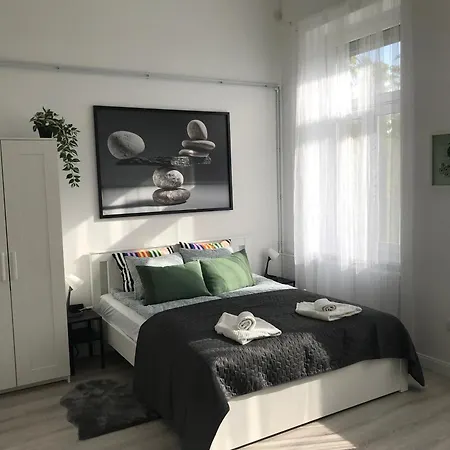 Apartament Beautiful Newly Refurbished Studio,fully Equipped Walking Distance To The Park Where Will Find The World Famous Szechenyi Thermal Bath Spa, Museums , And The Capital Circus , Ac, Smart Tv, High Speed Internet Budapeszt