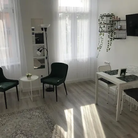 Lägenhet Beautiful Newly Refurbished Studio,fully Equipped Walking Distance To The Park Where Will Find The World Famous Szechenyi Thermal Bath Spa, Museums , And The Capital Circus , Ac, Smart Tv, High Speed Internet