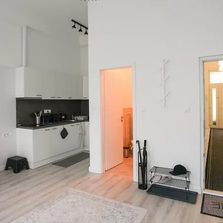 Beautiful Newly Refurbished Studio,fully Equipped Walking Distance To The Park Where Will Find The World Famous Szechenyi Thermal Bath Spa, Museums , And The Capital Circus , Ac, Smart Tv, High Speed Internet Lägenhet Budapest