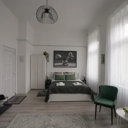 Beautiful Newly Refurbished Studio,fully Equipped Walking Distance To The Park Where Will Find The World Famous Szechenyi Thermal Bath Spa, Museums , And The Capital Circus , Ac, Smart Tv, High Speed Internet