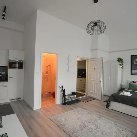 Lägenhet Beautiful Newly Refurbished Studio,fully Equipped Walking Distance To The Park Where Will Find The World Famous Szechenyi Thermal Bath Spa, Museums , And The Capital Circus , Ac, Smart Tv, High Speed Internet *