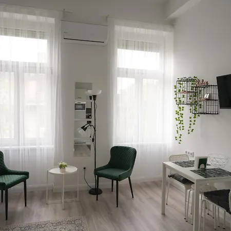 Beautiful Newly Refurbished Studio,fully Equipped Walking Distance To The Park Where Will Find The World Famous Szechenyi Thermal Bath Spa, Museums , And The Capital Circus , Ac, Smart Tv, High Speed Internet Apartament Budapeszt