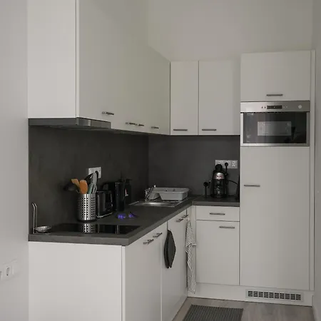 Beautiful Newly Refurbished Studio,fully Equipped Walking Distance To The Park Where Will Find The World Famous Szechenyi Thermal Bath Spa, Museums , And The Capital Circus , Ac, Smart Tv, High Speed Internet Budapeszt
