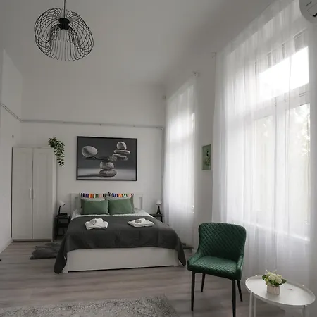 Lägenhet Beautiful Newly Refurbished Studio,fully Equipped Walking Distance To The Park Where Will Find The World Famous Szechenyi Thermal Bath Spa, Museums , And The Capital Circus , Ac, Smart Tv, High Speed Internet