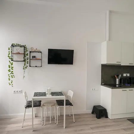 Beautiful Newly Refurbished Studio,fully Equipped Walking Distance To The Park Where Will Find The World Famous Szechenyi Thermal Bath Spa, Museums , And The Capital Circus , Ac, Smart Tv, High Speed Internet Budapeszt