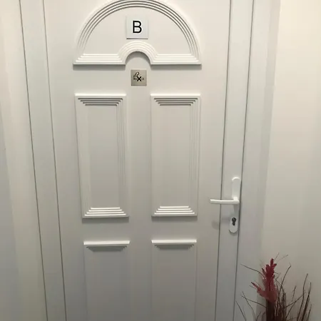 Appartement Beautiful Newly Refurbished Studio,fully Equipped Walking Distance To The Park Where Will Find The World Famous Szechenyi Thermal Bath Spa, Museums , And The Capital Circus , Ac, Smart Tv, High Speed Internet *