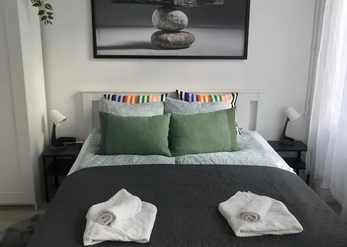 Beautiful Newly Refurbished Studio,fully Equipped Walking Distance To The Park Where Will Find The World Famous Szechenyi Thermal Bath Spa, Museums , And The Capital Circus , Ac, Smart Tv, High Speed Internet * 布达佩斯