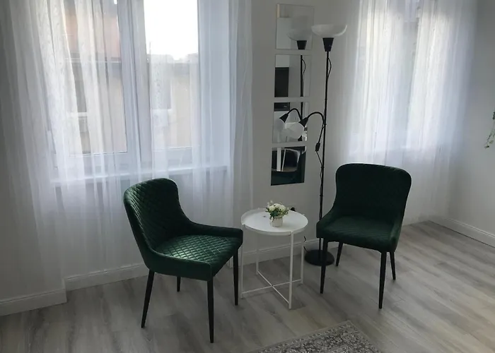 Beautiful Newly Refurbished Studio,fully Equipped Walking Distance To The Park Where Will Find The World Famous Szechenyi Thermal Bath Spa, Museums , And The Capital Circus , Ac, Smart Tv, High Speed Internet 公寓 布达佩斯