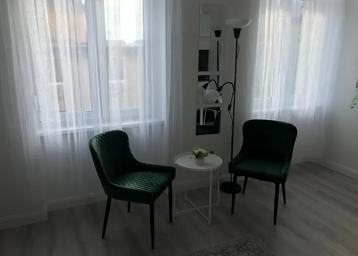公寓 Beautiful Newly Refurbished Studio,fully Equipped Walking Distance To The Park Where Will Find The World Famous Szechenyi Thermal Bath Spa, Museums , And The Capital Circus , Ac, Smart Tv, High Speed Internet 布达佩斯