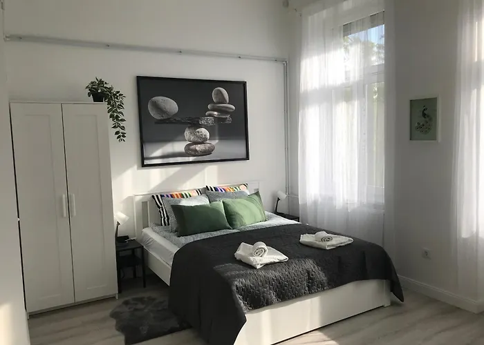 公寓 Beautiful Newly Refurbished Studio,fully Equipped Walking Distance To The Park Where Will Find The World Famous Szechenyi Thermal Bath Spa, Museums , And The Capital Circus , Ac, Smart Tv, High Speed Internet 布达佩斯