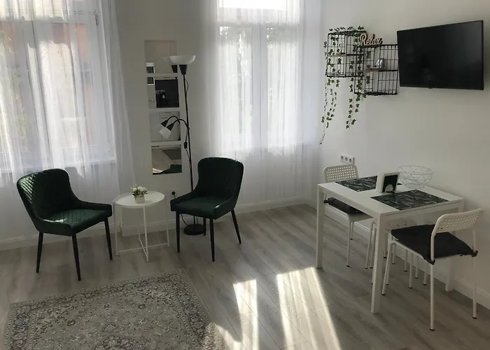 公寓 Beautiful Newly Refurbished Studio,fully Equipped Walking Distance To The Park Where Will Find The World Famous Szechenyi Thermal Bath Spa, Museums , And The Capital Circus , Ac, Smart Tv, High Speed Internet