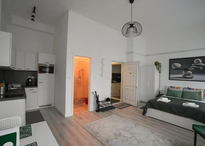公寓 Beautiful Newly Refurbished Studio,fully Equipped Walking Distance To The Park Where Will Find The World Famous Szechenyi Thermal Bath Spa, Museums , And The Capital Circus , Ac, Smart Tv, High Speed Internet *
