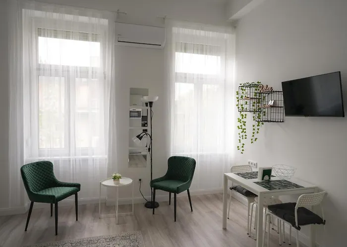 Beautiful Newly Refurbished Studio,fully Equipped Walking Distance To The Park Where Will Find The World Famous Szechenyi Thermal Bath Spa, Museums , And The Capital Circus , Ac, Smart Tv, High Speed Internet 公寓 布达佩斯