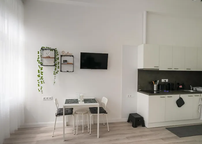 Beautiful Newly Refurbished Studio,fully Equipped Walking Distance To The Park Where Will Find The World Famous Szechenyi Thermal Bath Spa, Museums , And The Capital Circus , Ac, Smart Tv, High Speed Internet 布达佩斯